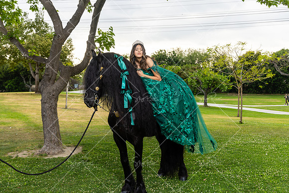 EM_PS_0017