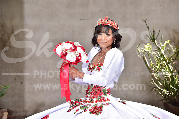 EC_PS_0005