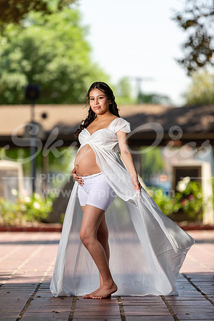 P_MPS_0090