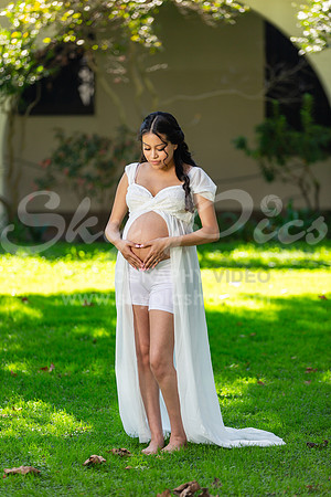 P_MPS_0053