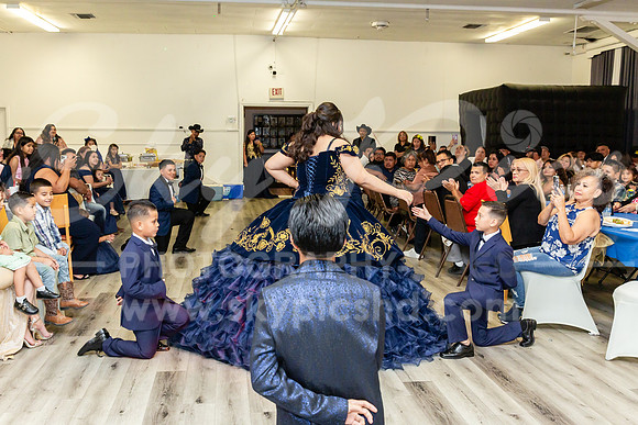ER_EV_0294