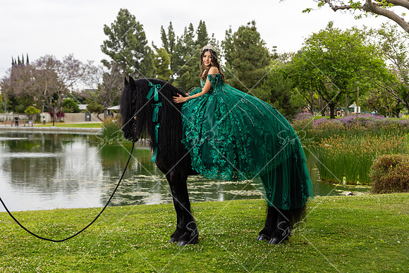 EM_PS_0029
