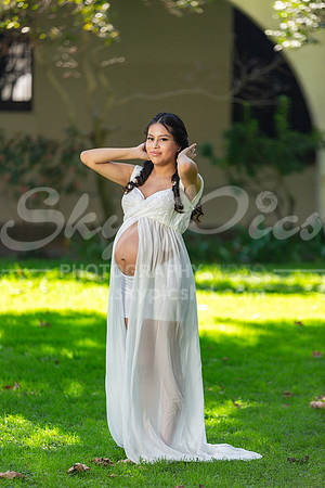 P_MPS_0039