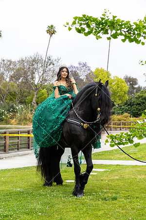 EM_PS_0058