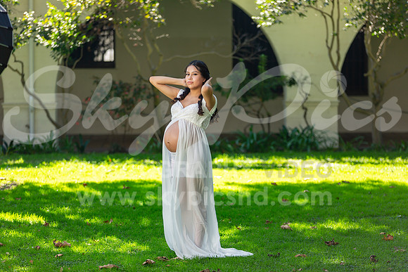 P_MPS_0038