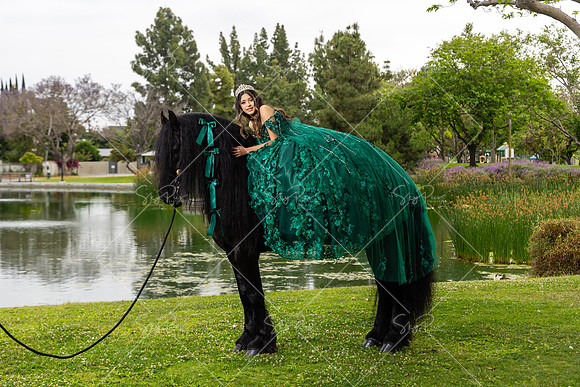 EM_PS_0033