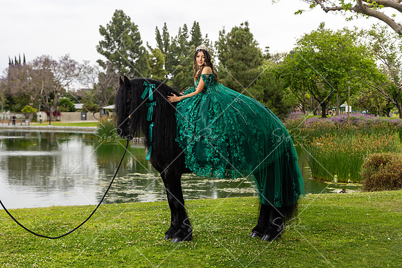 EM_PS_0028