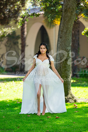 P_MPS_0020