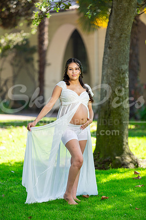 P_MPS_0030