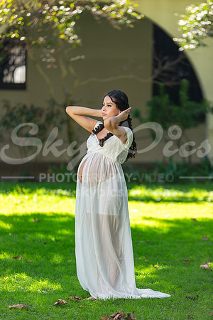 P_MPS_0036