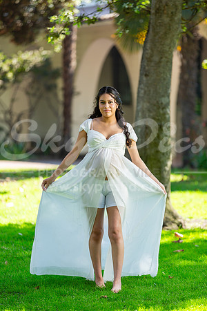P_MPS_0019