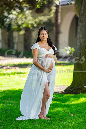 P_MPS_0015