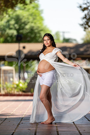 P_MPS_0088