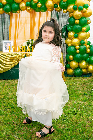 IL_EV_0099