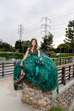 EM_PS_0229