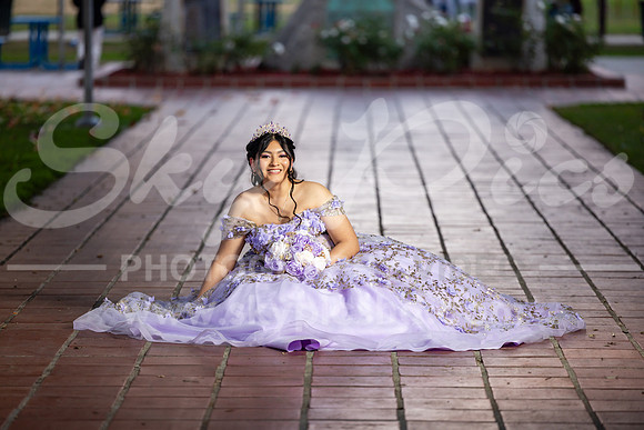 TE_PS_0095