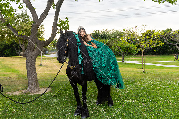 EM_PS_0016