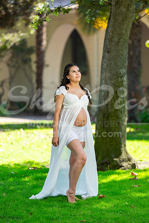 P_MPS_0024