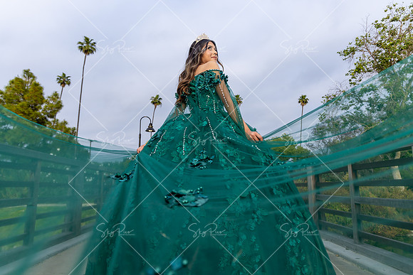 EM_PS_0253