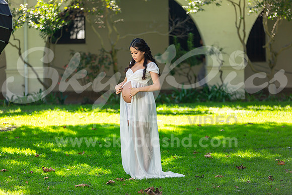 P_MPS_0037