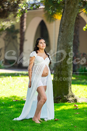 P_MPS_0026