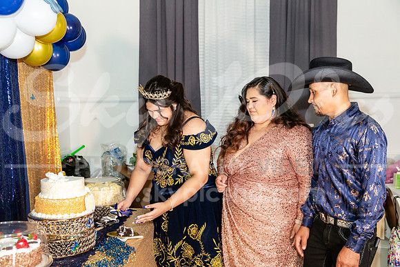ER_EV_0453